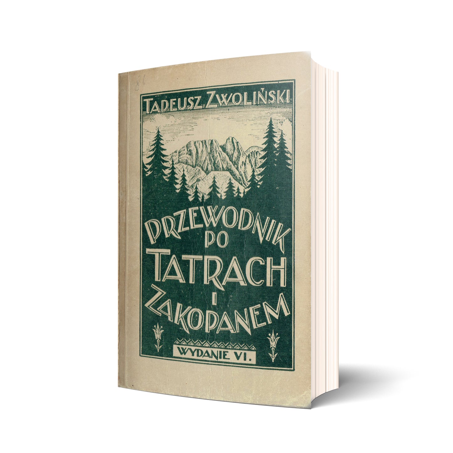Przewodnik po Tatrach i Zakopanem