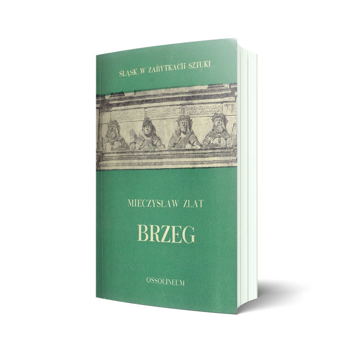Brzeg