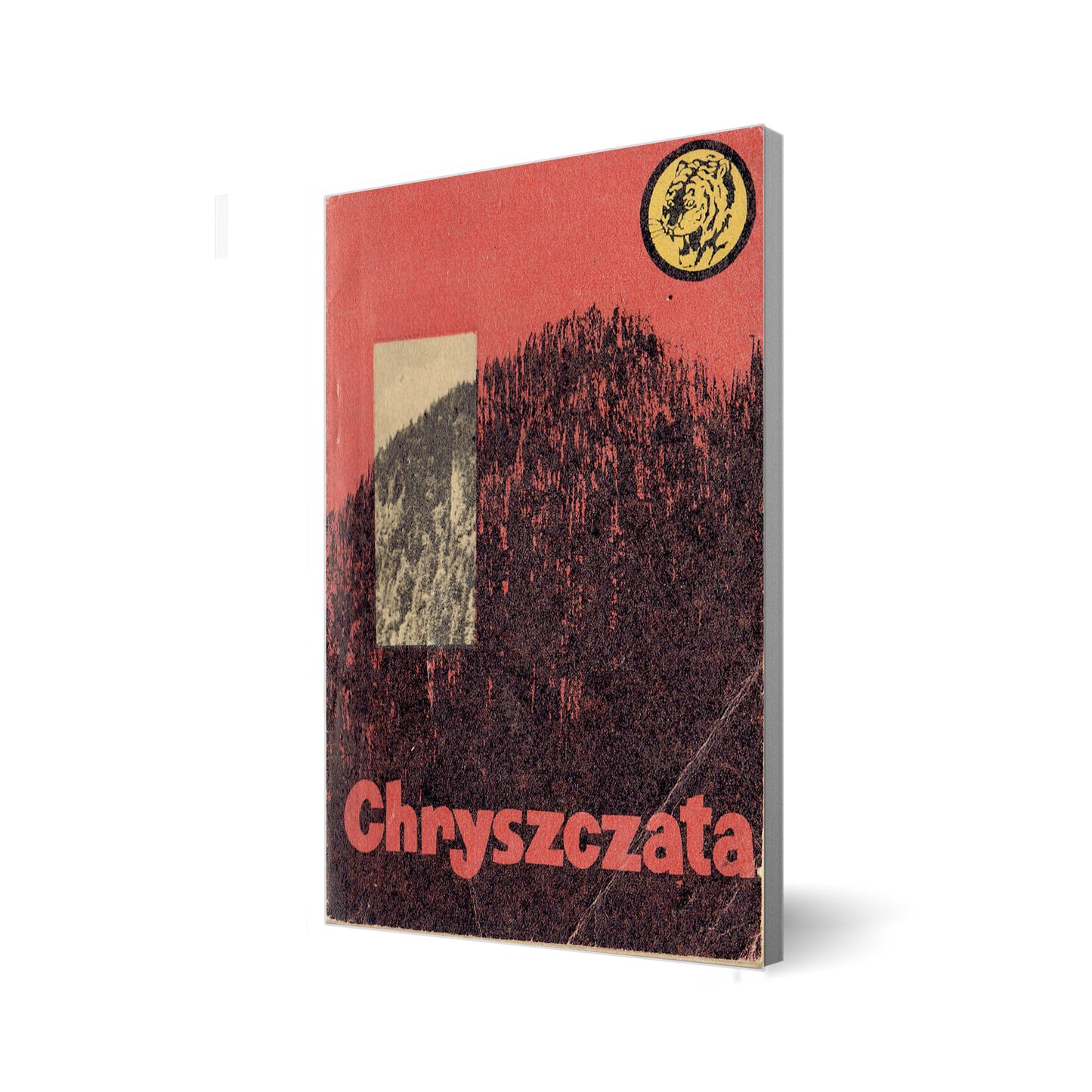 Chryszczata