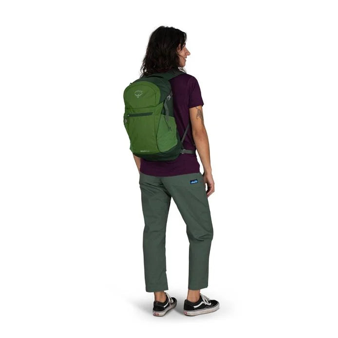 Daylite Plus