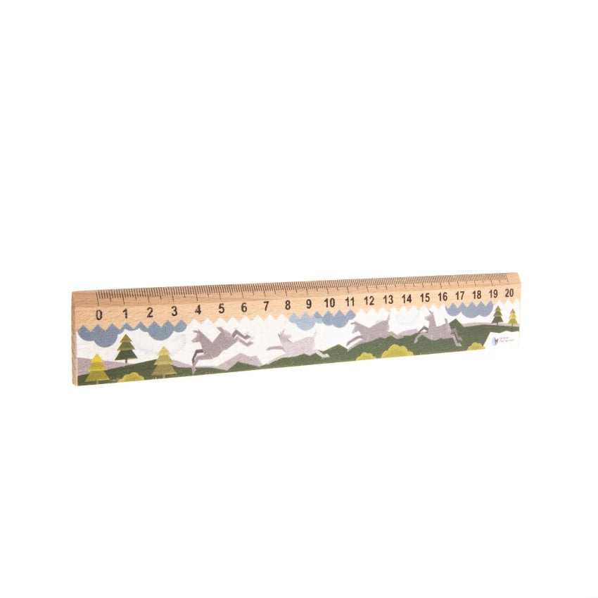 Linijka drewniana TPN 20 cm