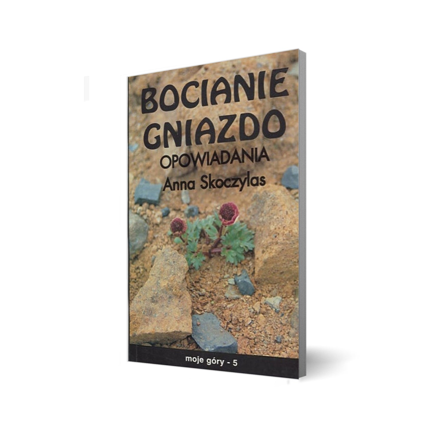 Bocianie gniazdo