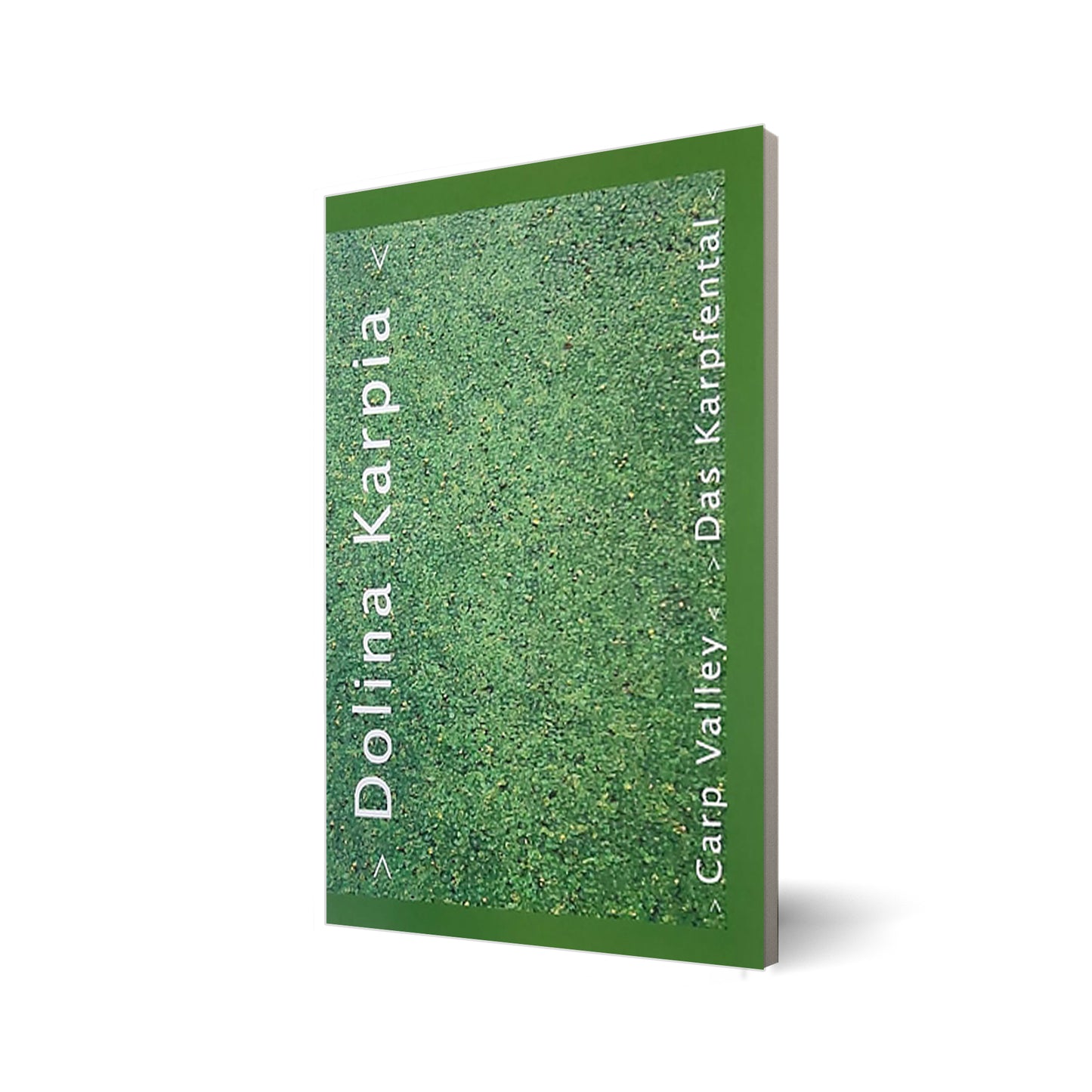 Dolina Karpia