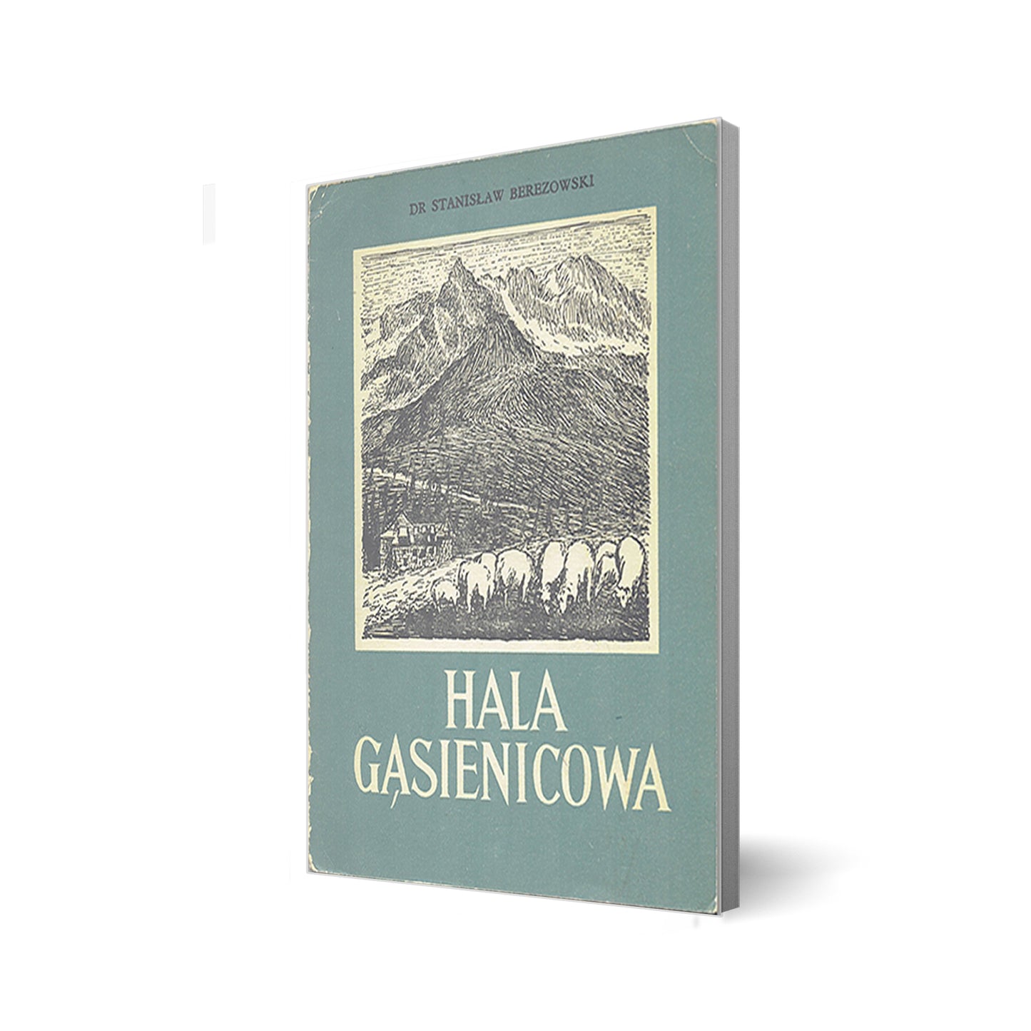 Hala Gąsienicowa
