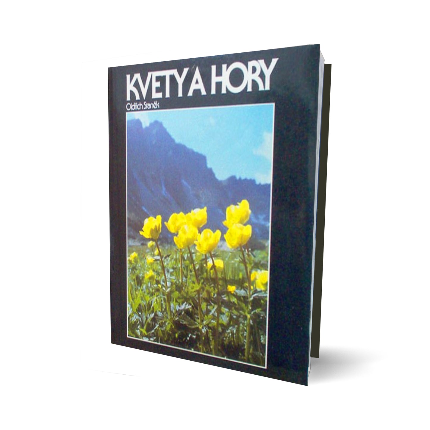 Kvety a hory