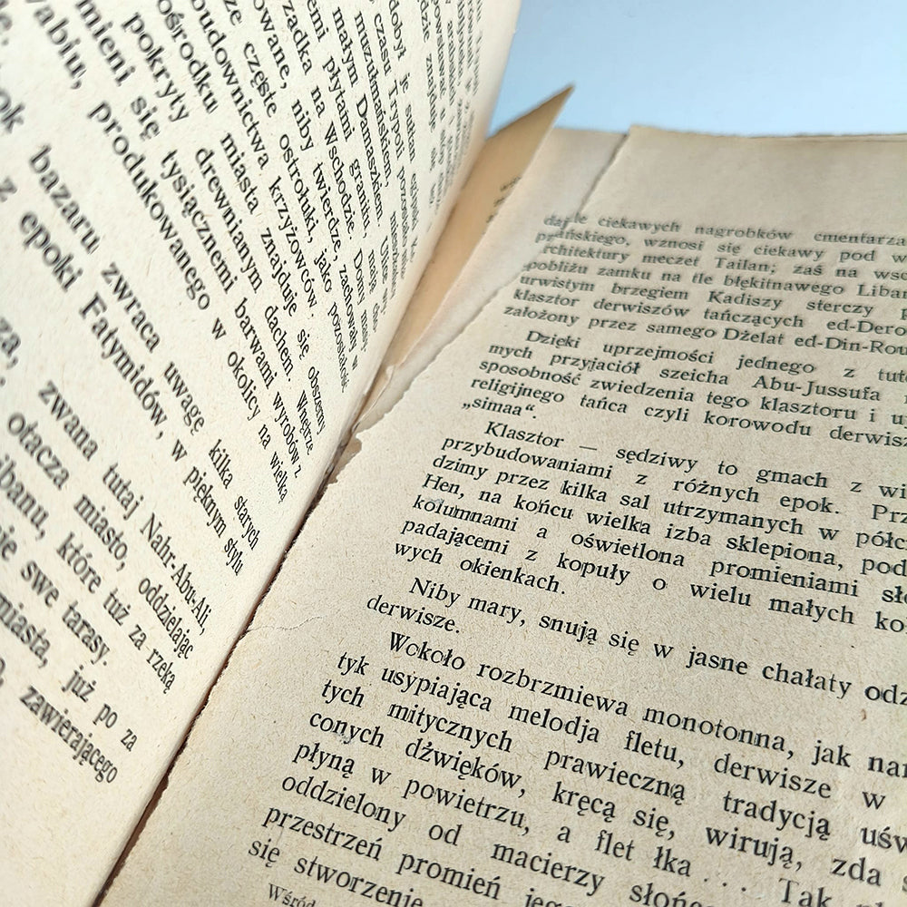 Wśród gór i pustyń Coelesyrji