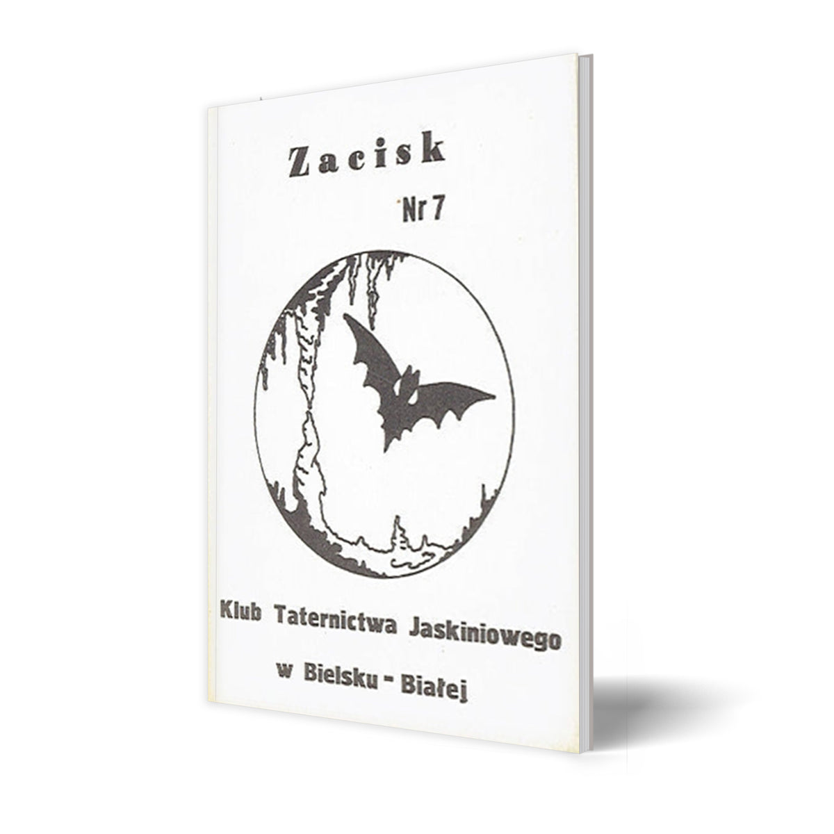Zacisk nr 7