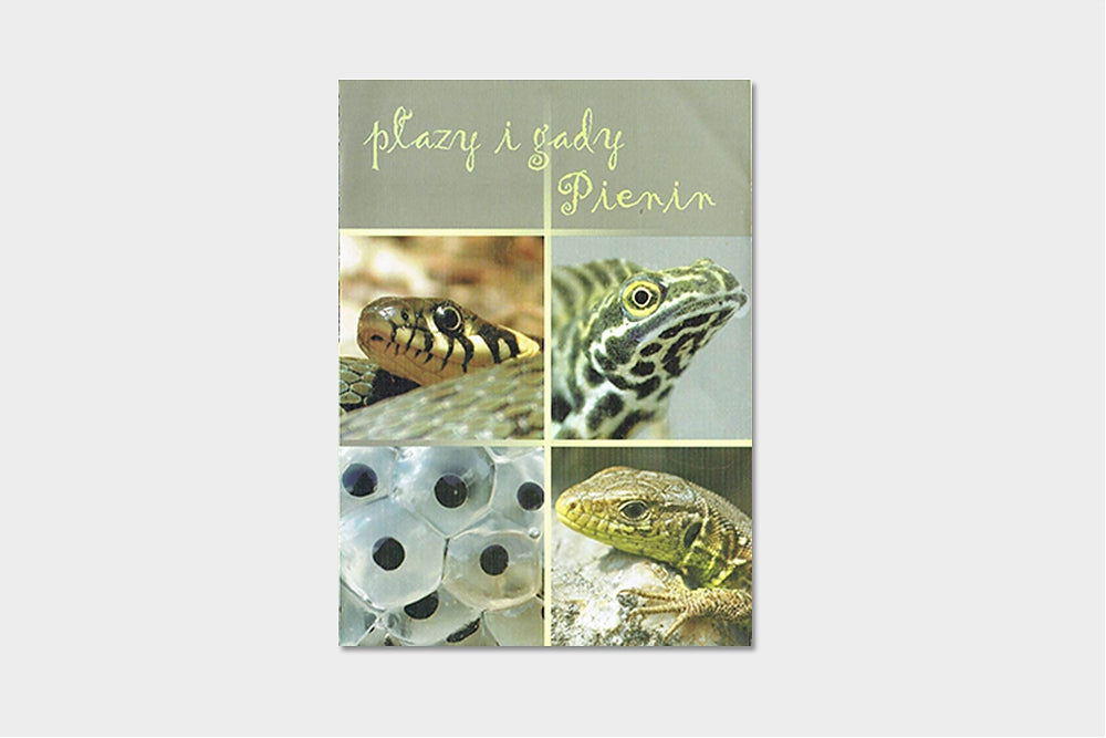 Płazy i gady Pienin - folder