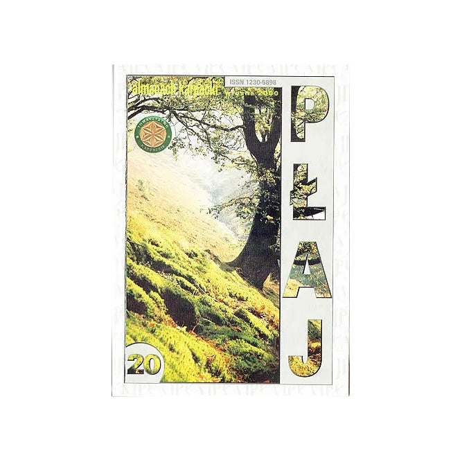 Płaj nr 20. Almanach Karpacki