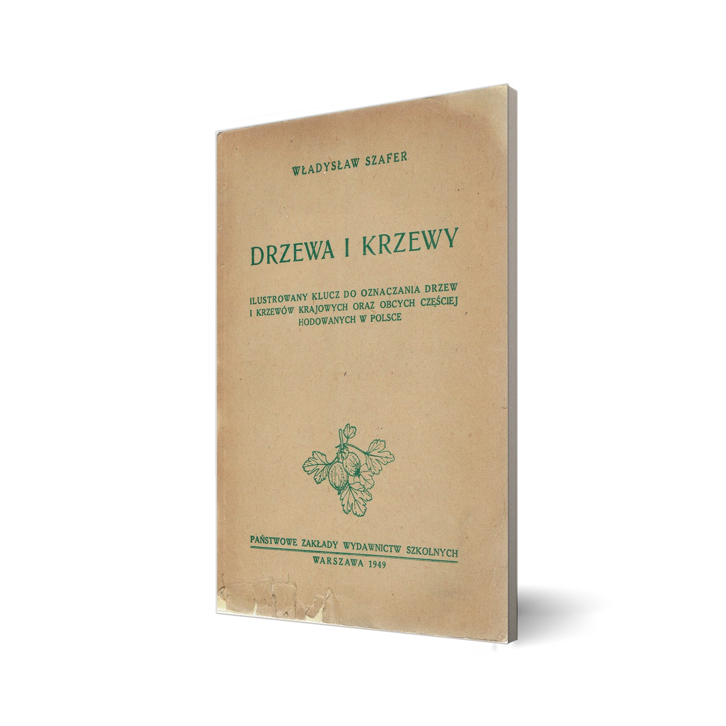 Drzewa i krzewy. Ilustrowany klucz do oznaczania drzew i krzewów krajowych oraz obcych częściej hodowanych w Polsce