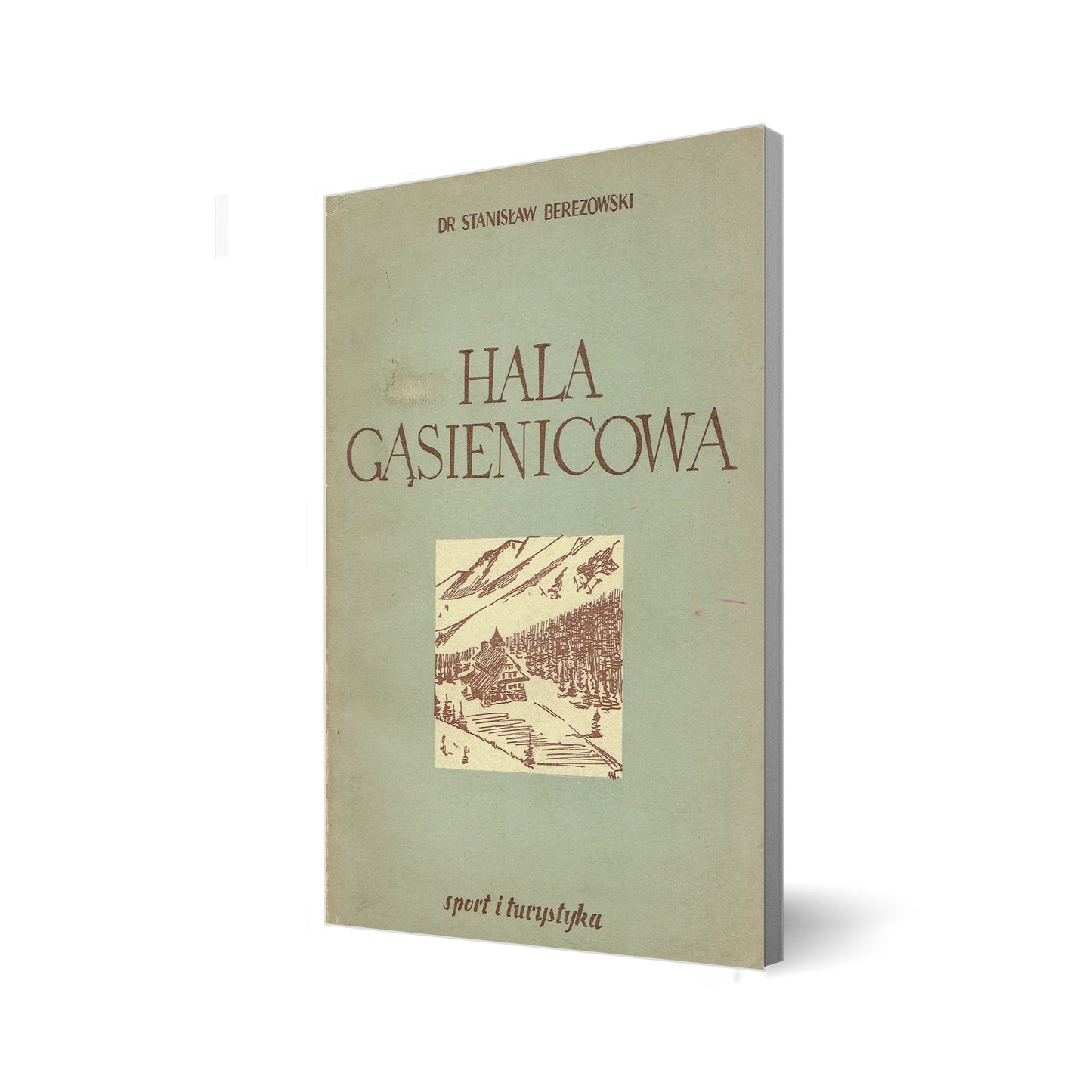Hala Gąsienicowa