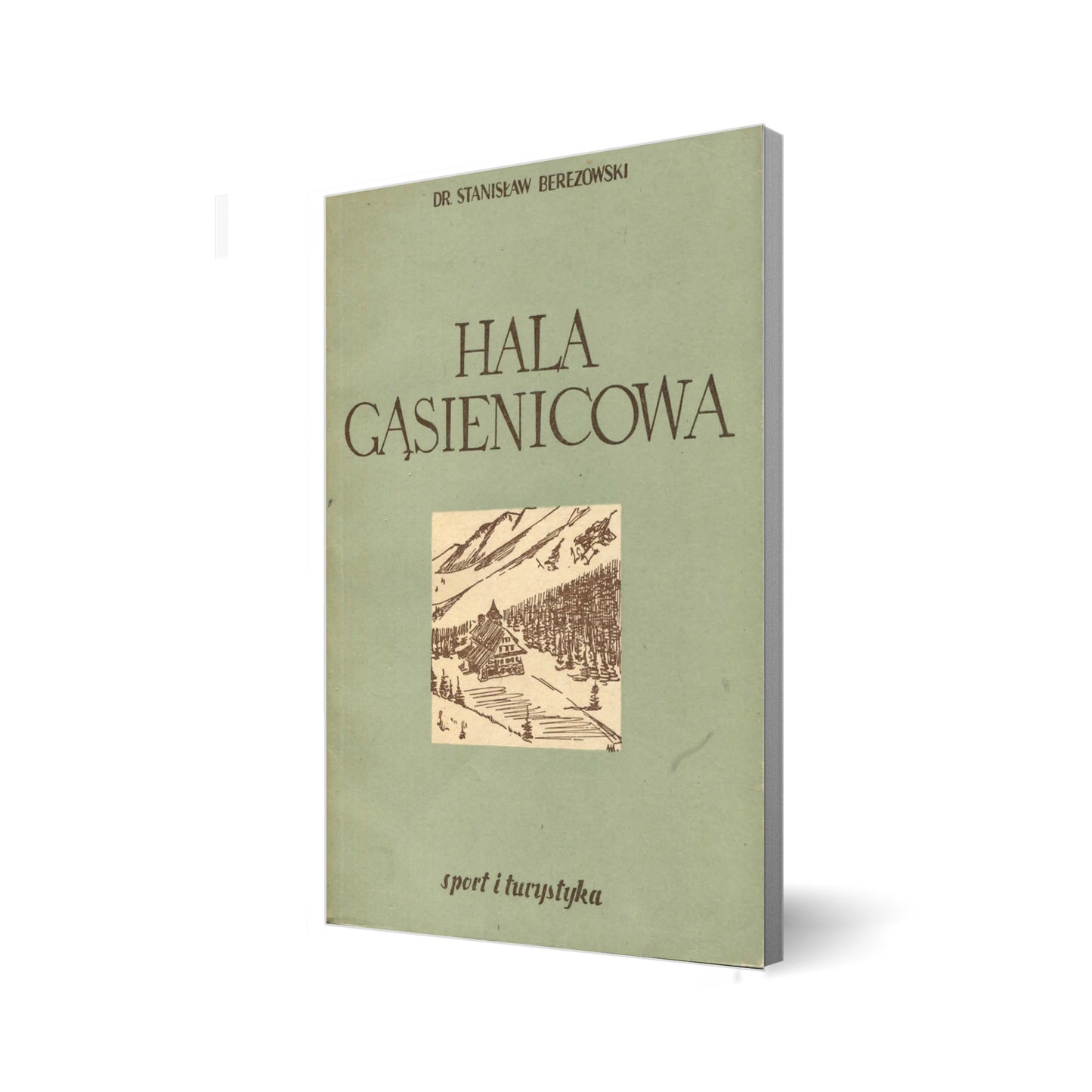 Hala Gąsienicowa