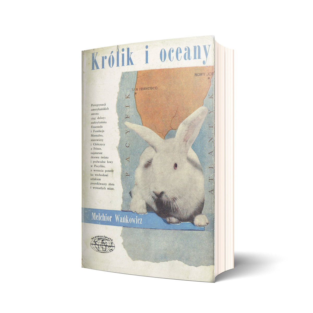 Królik i oceany