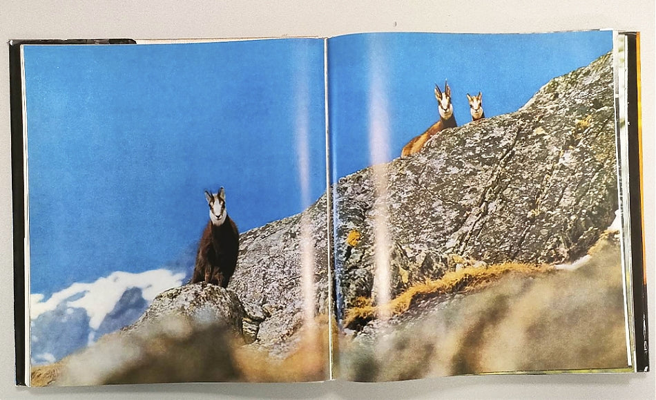 Gebirgsfotografie