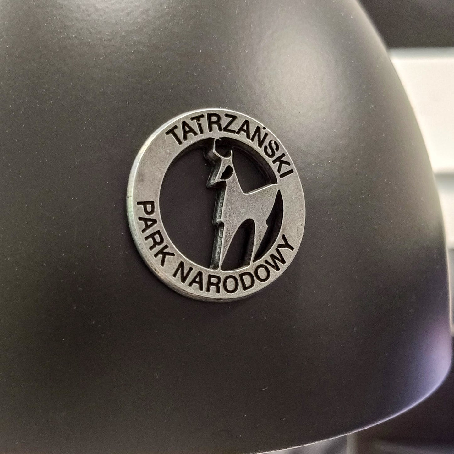 Magnes metalowy. Logo TPN