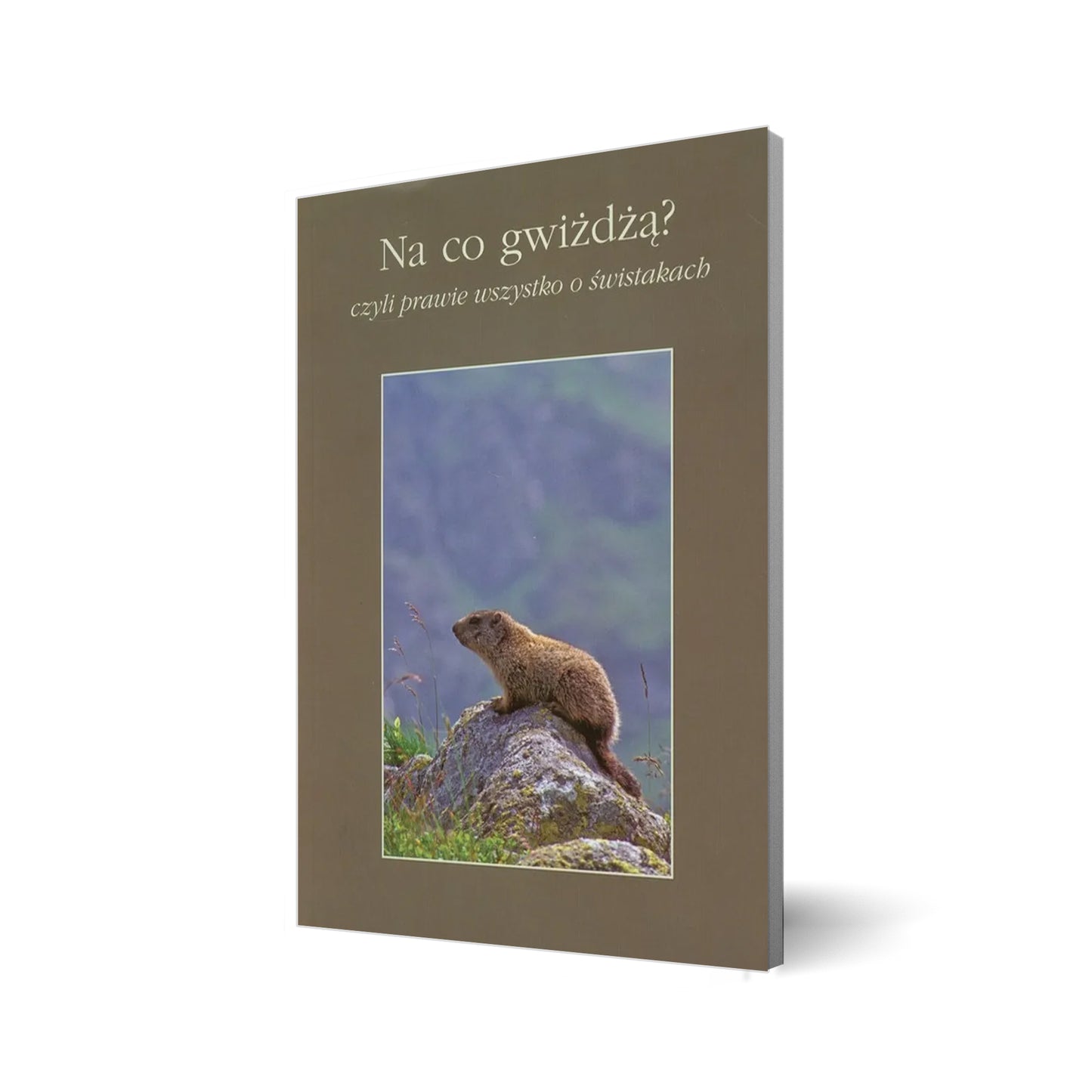 Na co gwiżdżą? Czyli prawie wszystko o świstakach