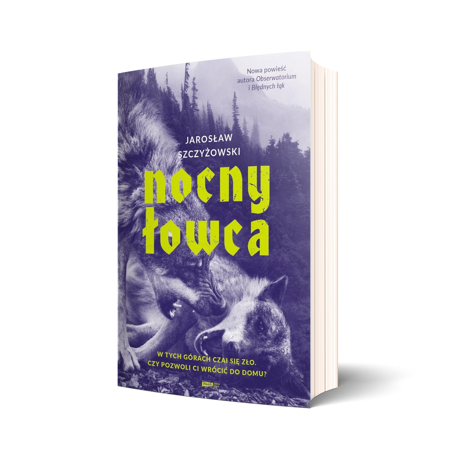 Nocny łowca