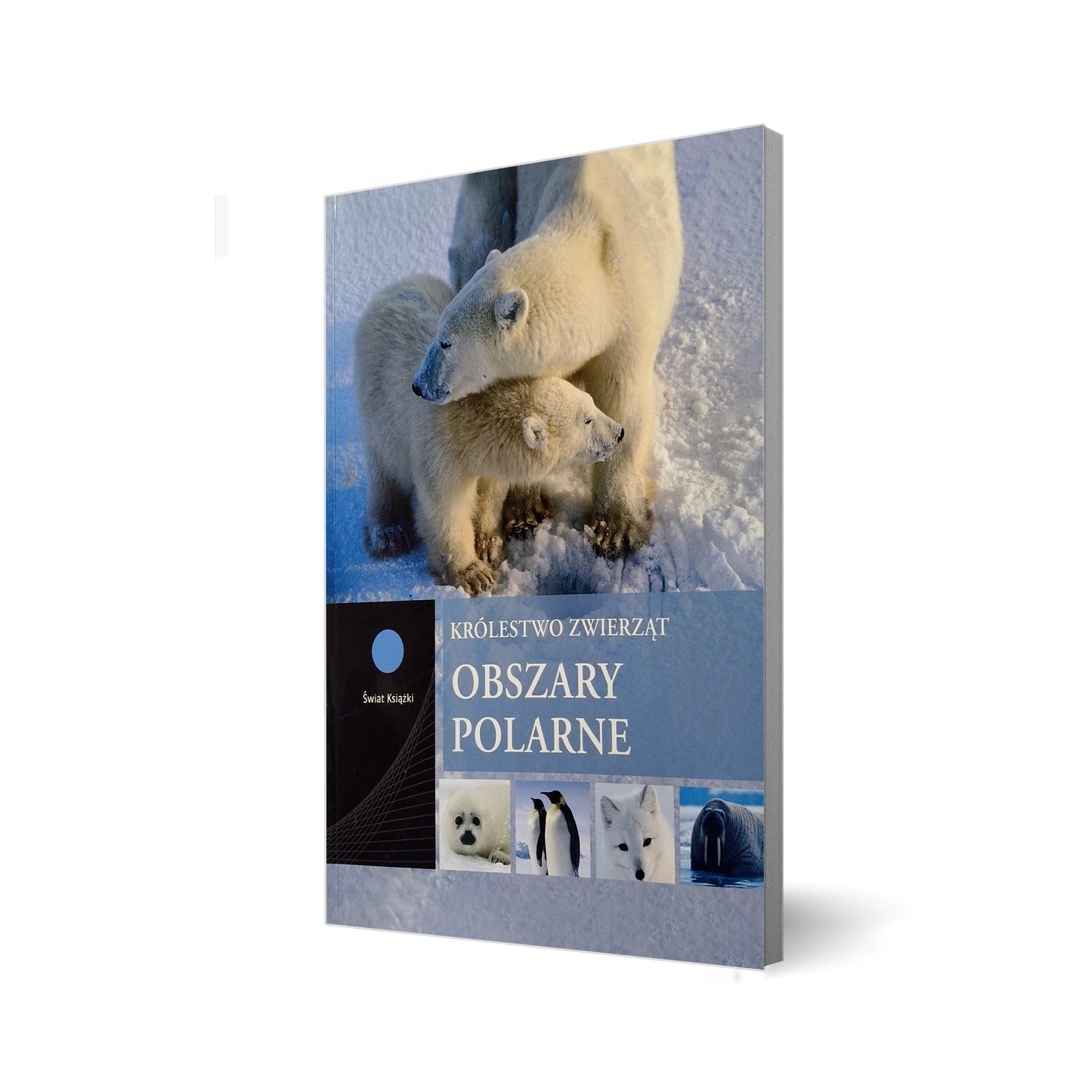 Obszary polarne