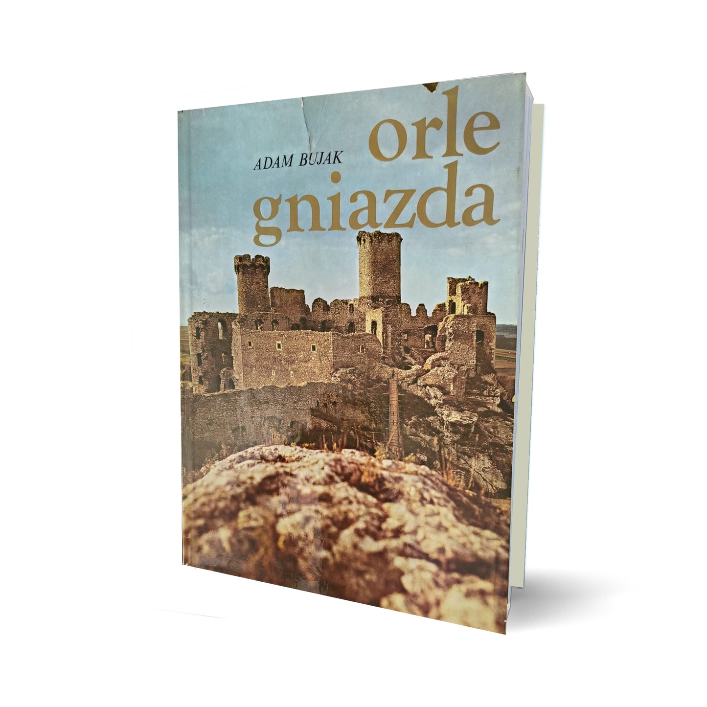 Orle gniazda