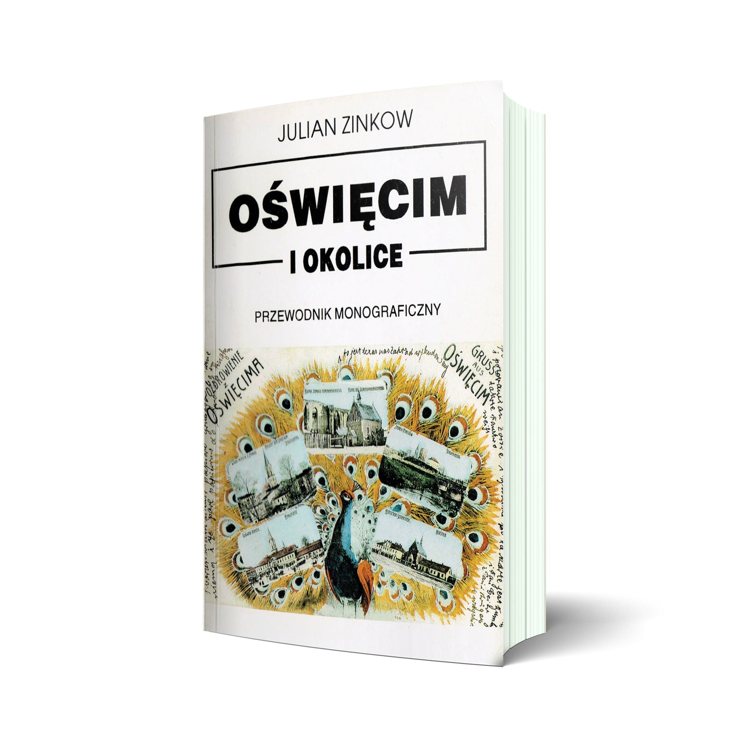 Oświęcim i okolice. Przewodnik monograficzny