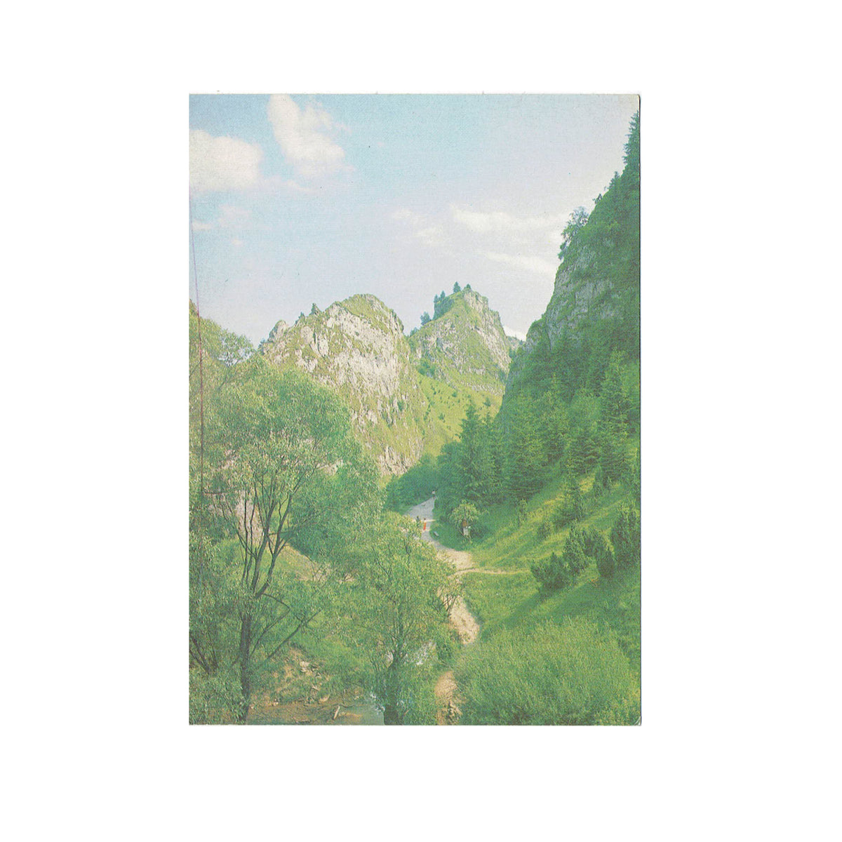 Pocztówka - Wąwóz Homole, Pieniny