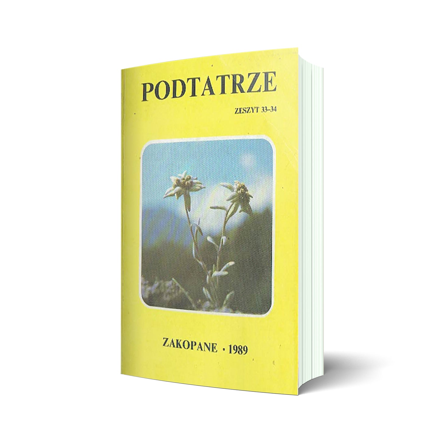 Podtatrze 1989