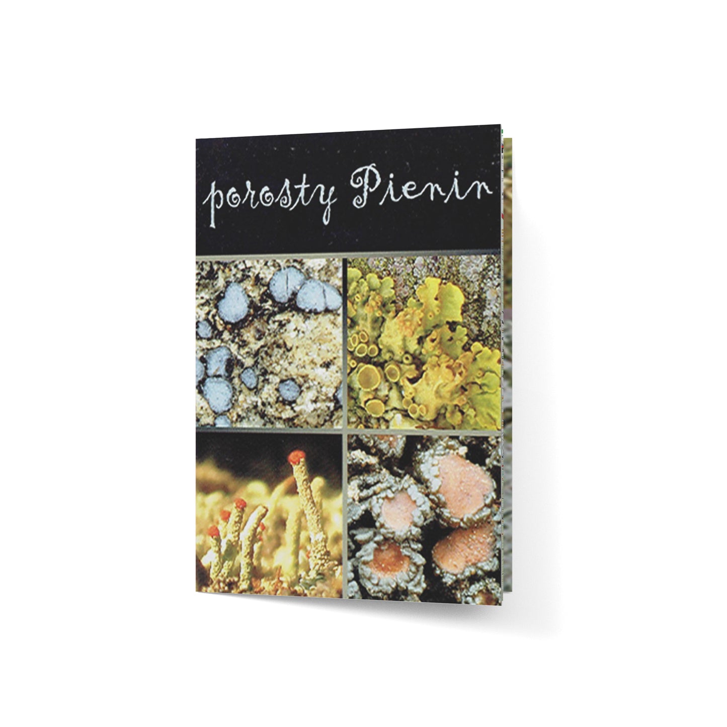 Porosty Pienin - folder