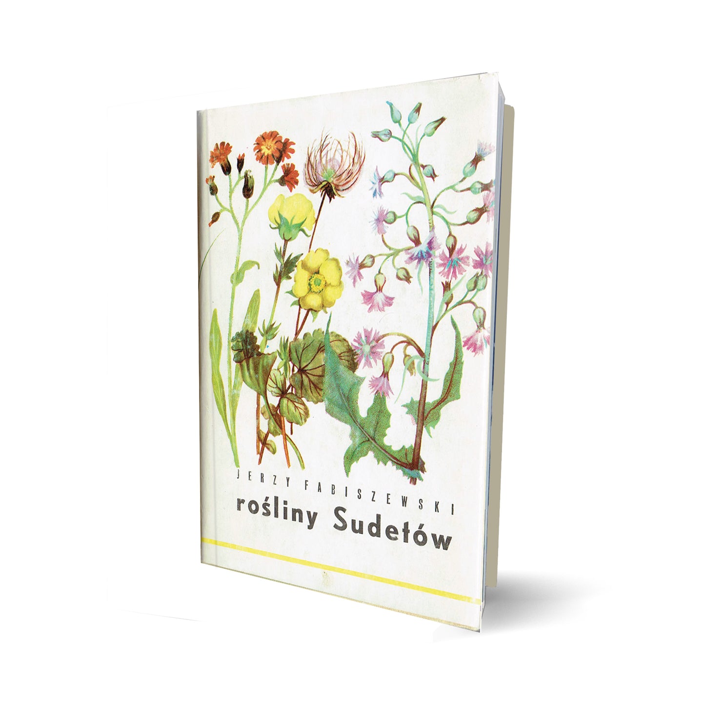 Rośliny Sudetów