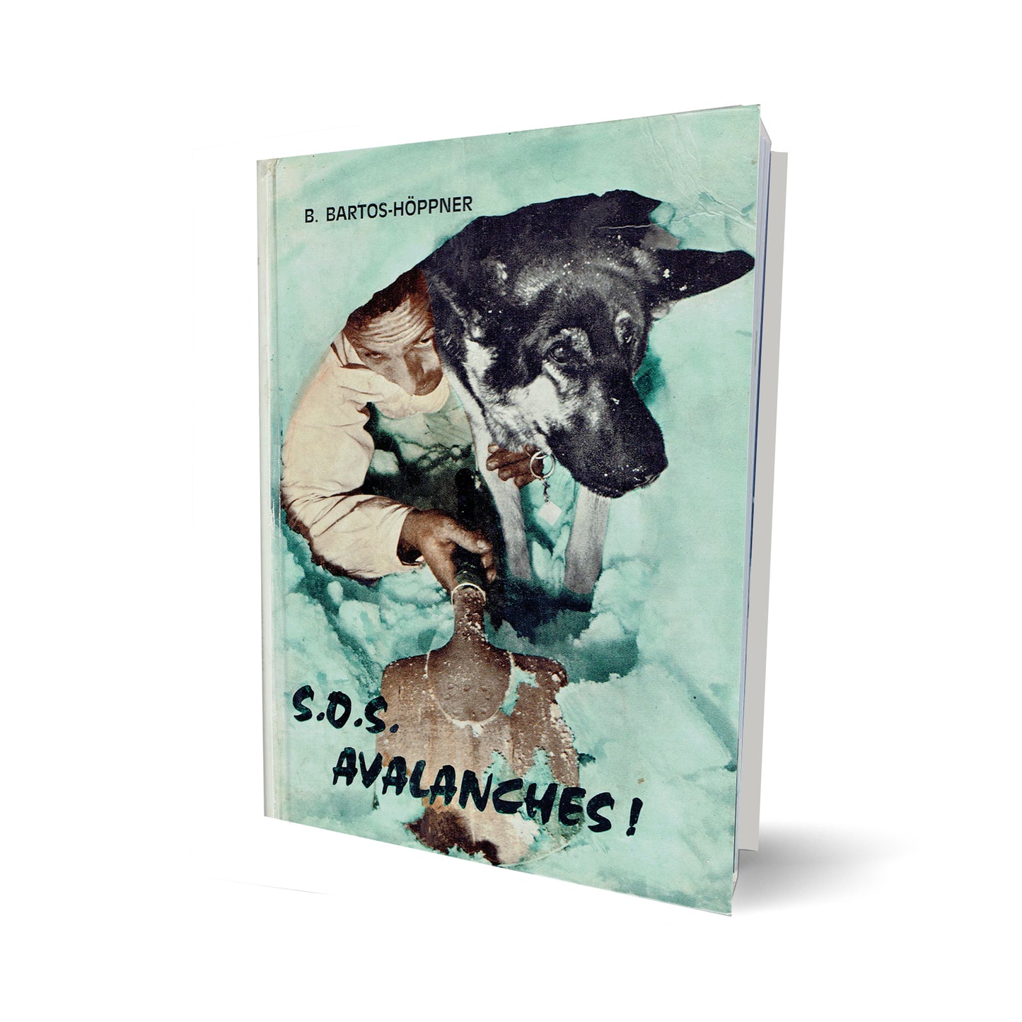 S.O.S. Avalanches!