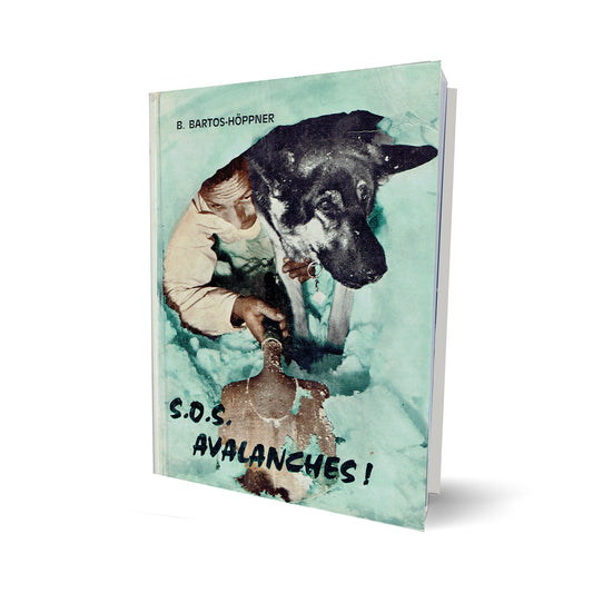 S.O.S. Avalanches!