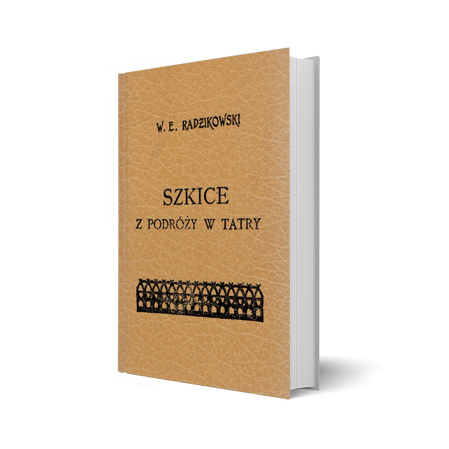 Szkice z podróży w Tatry [reprint]