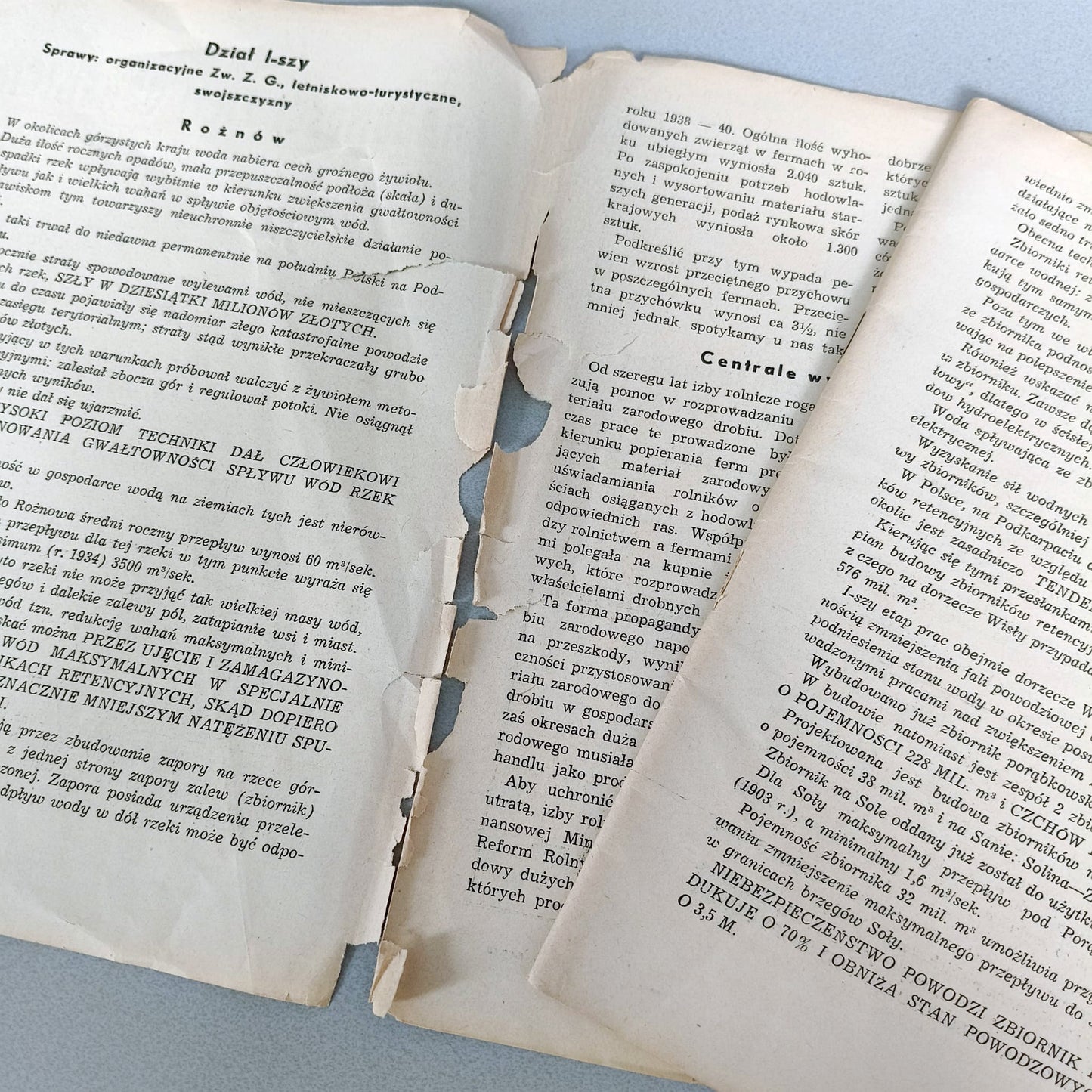 Wiadomości Ziem Górskich. Miesięczny Biuletyn Informacyjno-Sprawozdawczy Zarządu Głównego Związku Ziem Górskich 1939 Rok II