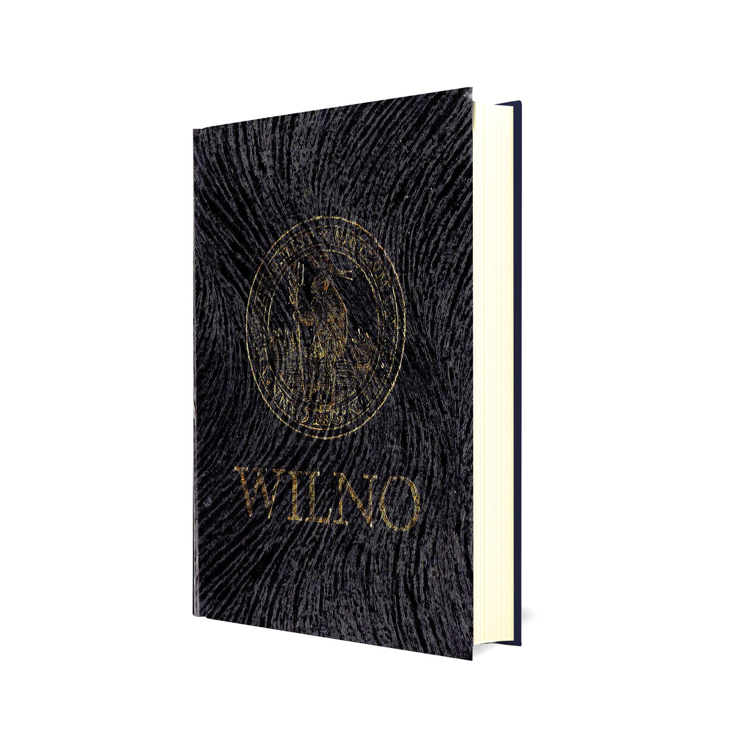 Wilno. Przewodnik krajoznawczy [reprint]
