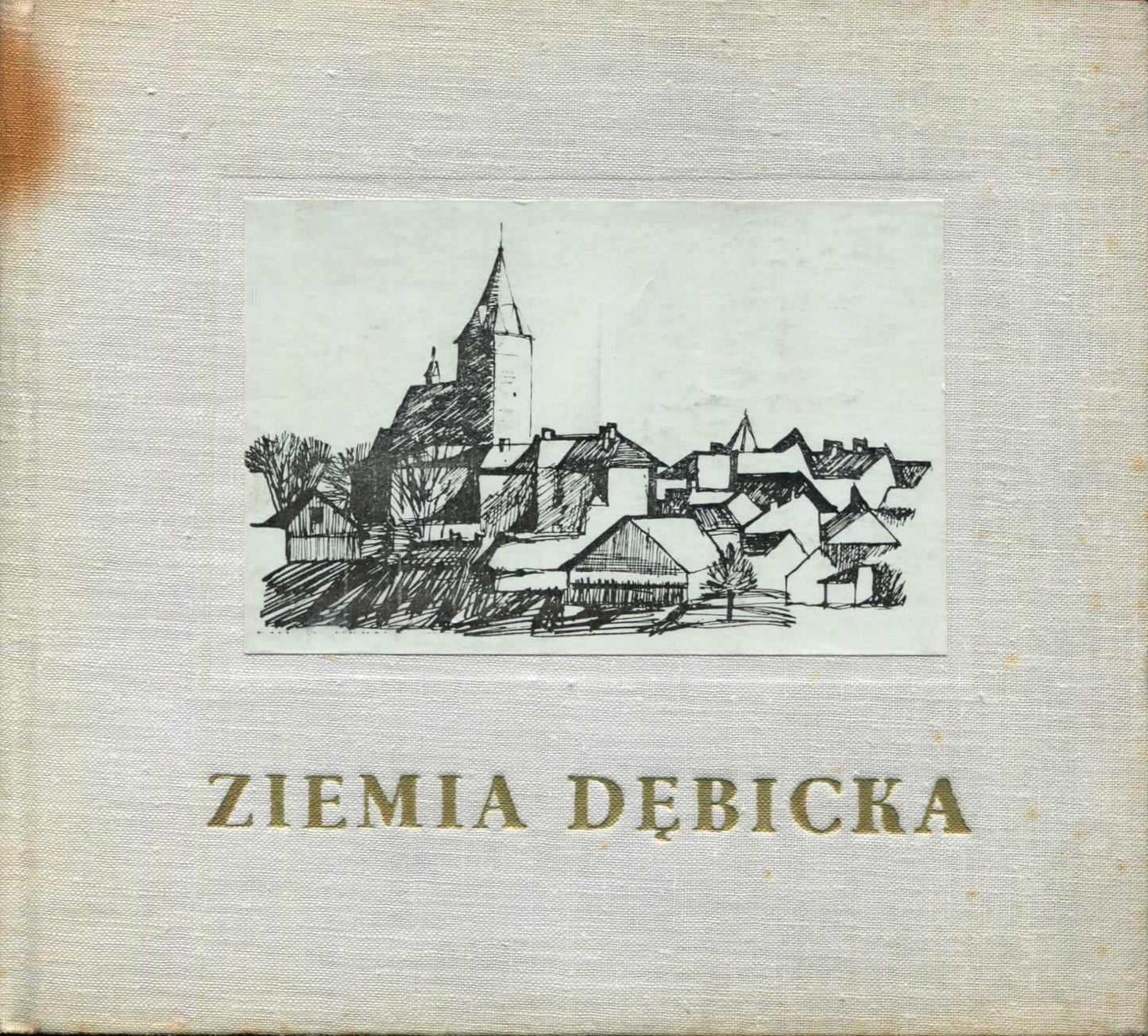 Ziemia Dębicka