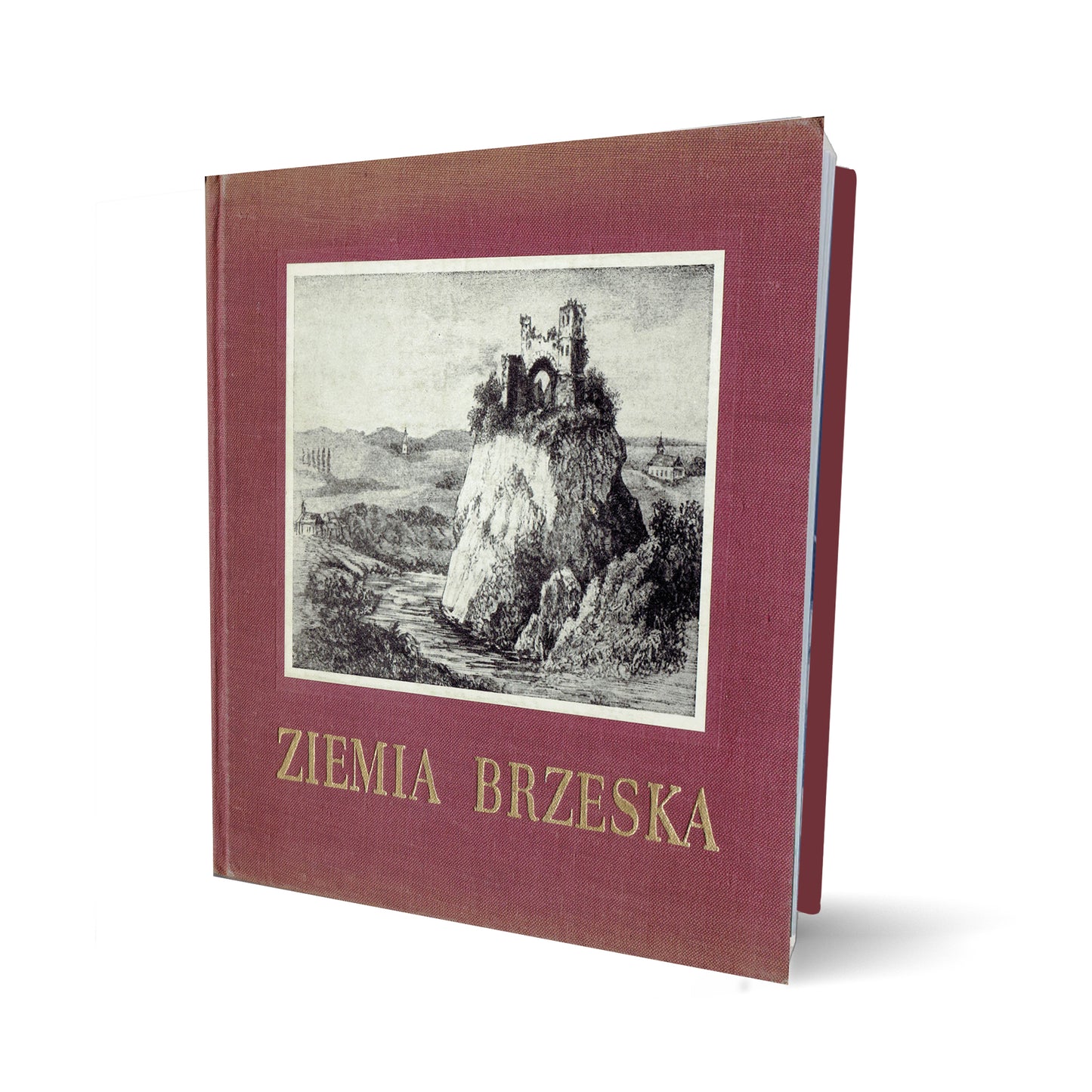 Ziemia Brzeska