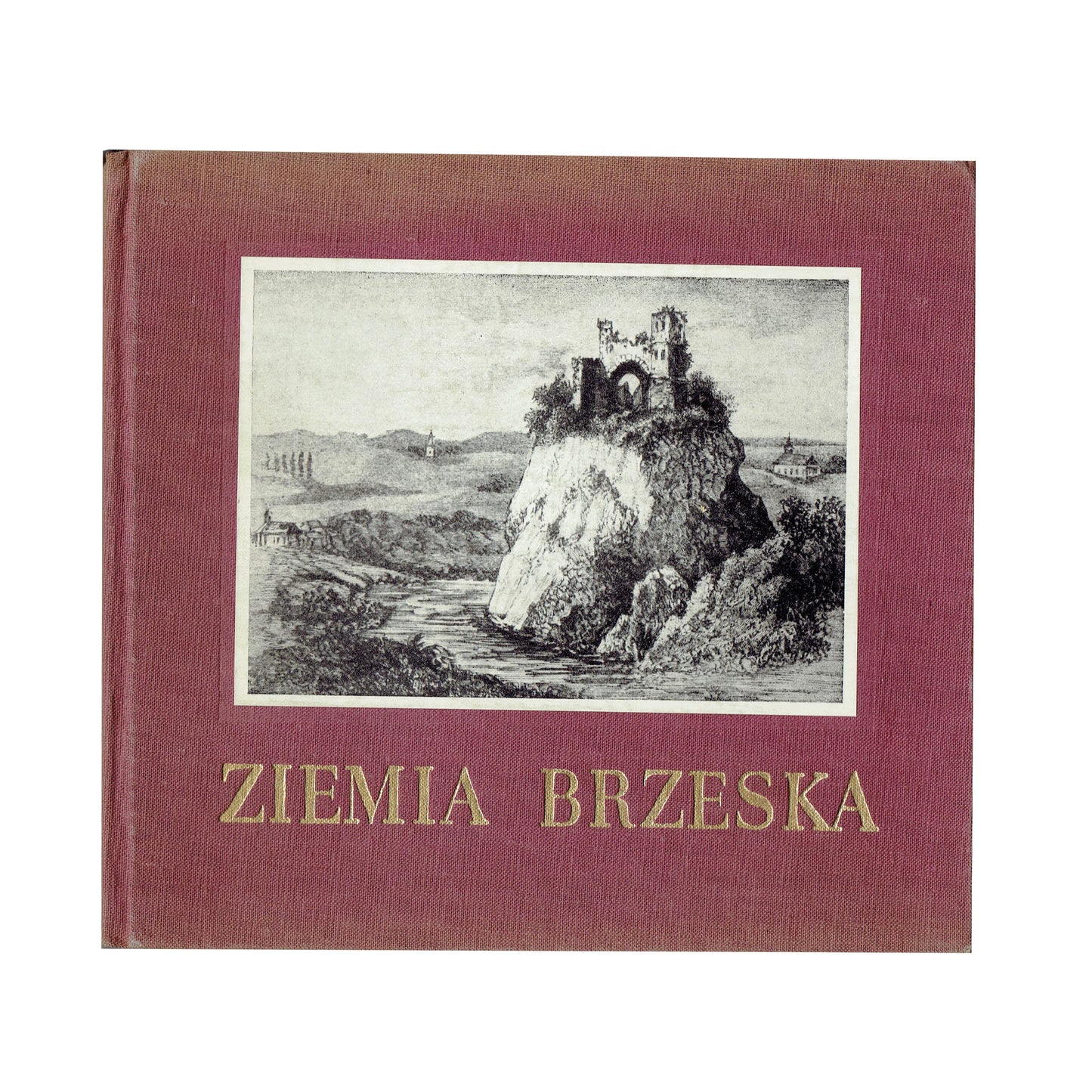 Ziemia Brzeska