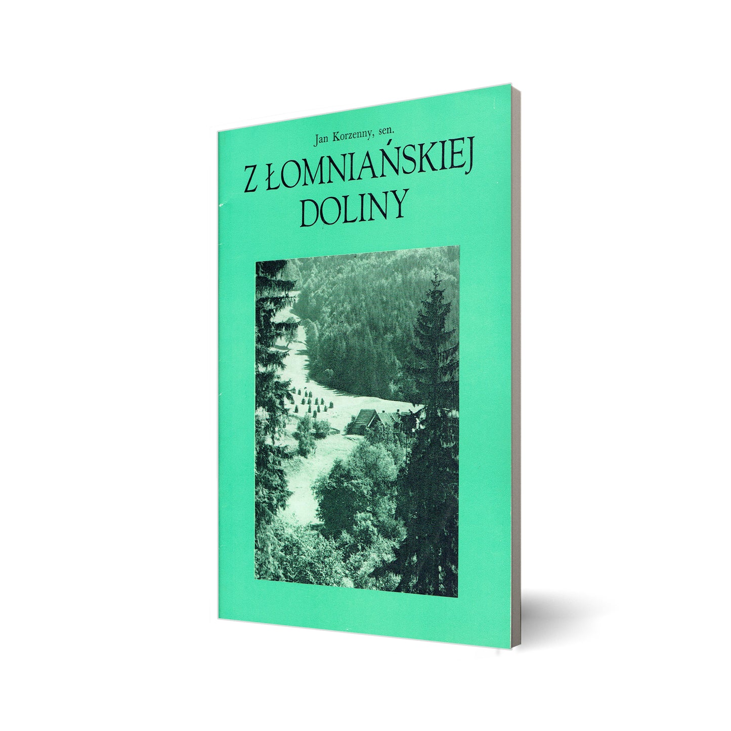 Z Łomniańskiej Doliny